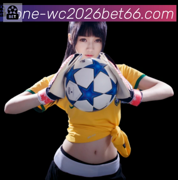 奖项证书